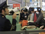 Как и грозились таможенники, животное поместили в карантин по бешенству в токийском международном аэропорту "Нарита", где ему, как утверждается, созданы все условия