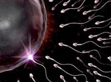 Удивительные свойства спермы: крем для кожи, пищевая добавка, антидепрессант и многое другое