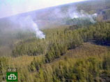 Сотрудники авиалесоохраны сами поджигали лес, чтобы получать премии