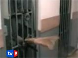 Скандал с пытками в Грузии: бежавший тюремщик заявил, что насиловали и убивали врагов Саакашвили