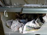 Животное каким-то образом выбралось из своего контейнера и свободно разгуливало по багажному отсеку Животное каким-то образом выбралось из своего контейнера и свободно разгуливало по багажному отсеку