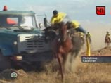 На скачках в Казахстане конь не пережил столкновения с поливальной машиной На скачках в Казахстане конь не пережил столкновения с поливальной машиной