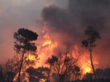 Напомним, что этим летом действительно регулярно поступали сообщения о крупных лесных пожарах в ряде стран Европы, возникавших на фоне сильной длительной жары