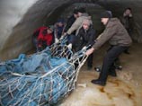 Таймырский мальчик нашел тушу мамонта Жени: с фрагментами шкуры, мяса, жира, органов Таймырский мальчик нашел тушу мамонта Жени: с фрагментами шкуры, мяса, жира, органов