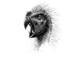 Pegomastax africanus Pegomastax africanus