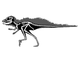 Pegomastax africanus Pegomastax africanus