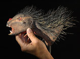 Ученые воссоздали неизвестный вид динозавров и получили "вампира"