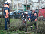 Калининградский шторм не обошелся без жертв: деревьями зашибло двух человек