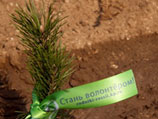 В рамках ставшей уже ежегодной экологической акции "Поможем природе вместе!", которая с августа по октябрь проходила в семи регионах Российской Федерации, во дворах городов и лесах были высажены более 50 тысяч деревьев