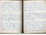 Дневники легендарного революционера Эрнесто Че Гевары, написанные им в последние месяцы жизни, стали доступны пользователям интернета