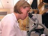 Ученые нашли самый древний мозг - ему полмиллиарда лет Ученые нашли самый древний мозг - ему полмиллиарда лет