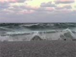 На пляже в американском штате Флорида нашли гигантское глазное яблоко На пляже в американском штате Флорида нашли гигантское глазное яблоко