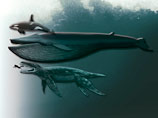 Ископаемый морской монстр "хищник Икс" получил официальное название и уменьшился