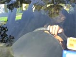 Американская студентка, сдавая зачет, покорила YouTube учебным ВИДЕО о собакочеловеке Американская студентка, сдавая зачет, покорила YouTube учебным ВИДЕО о собакочеловеке