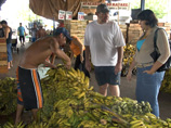 Эксперты ООН пугают человечество: через 40 лет питание бананами станет альтернативой голоду