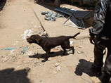 В Бразилии собаку по кличке Босс, за которой охотятся киллеры наркомафии, взяли под охрану