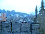 В Подмосковье потушили газопровод: сгорело 17 домов