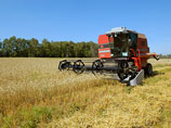 России придется закупать пшеницу за рубежом