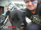 Свидетель конфликта на АЗС заявил суду: певец Юрий Антонов бил байкера знаком аварийной остановки Свидетель конфликта на АЗС заявил суду: певец Юрий Антонов бил байкера знаком аварийной остановки