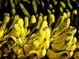 "Банановая война" началась в 1992 году, еще во время действия Генерального соглашения по тарифам и торговле и до образования ВТО в 1995 году