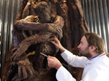 В Париже появился шоколадный лес из фильма "Планета обезьян". Известный шоколатье Патрик Рожер возвел гигантское сладкое дерево весом более пяти тонн, а высотой с трехэтажное здание