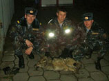 Спецназ во главе с лейтенантом Волковым голыми руками изловил волка, терроризировавшего Минск