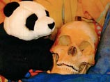 Некоторые фотографии арестованной за "нарушение покоя мертвых" и ее любимого довольно невинны - шведка укрывает череп, кладет его рядом с игрушкой-пандой и обнимает