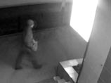 В убийстве тульского оружейника западные наблюдатели увидели "сирийский след" В убийстве тульского оружейника западные наблюдатели увидели "сирийский след"