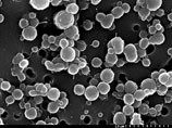 В антарктическом озере Вида обнаружена жизнь, 3000 лет изолированная от внешней среды В антарктическом озере Вида обнаружена жизнь, 3000 лет изолированная от внешней среды