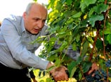 Экс-премьера Грузии Мерабишвили подозревают в использовании фальшивого
паспорта Экс-премьера Грузии Мерабишвили подозревают в использовании фальшивого
паспорта