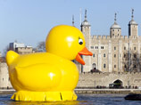 Лондон сделали счастливее, запустив в Темзу гигантского утенка (ВИДЕО)