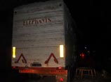 В Сибири слонов спасли из вспыхнувшего на трассе фургона и отпаивали водкой: "Радость такая была…" В Сибири слонов спасли из вспыхнувшего на трассе фургона и отпаивали водкой: "Радость такая была…"