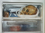 Кроме того, фотографию черепа в морозильной камере тоже нельзя идентифицировать как сделанную самой осужденной в ее собственном доме - по ее словам, снимок взят из интернета