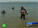 Во Владивостоке погибла такса по кличке Бонифаций, получившая мировую известность, благодаря своему умению плавать под водой в костюме аквалангиста