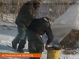 Рыбаки спаслись, десять дней проблуждав во льдах Каспия в поисках места, где ловит мобильный Рыбаки спаслись, десять дней проблуждав во льдах Каспия в поисках места, где ловит мобильный