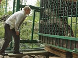 В Приморье у любимцев президента появилось потомство В Приморье у любимцев президента появилось потомство