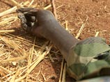 В штате Джолей идут бои между враждующими этническими группировками. Ранее на этой неделе правительственные войска нанесли удар по местности - в боях уже погибли 19 боевиков и пять солдат
