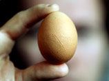 Молодой житель Туниса скончался, съев на спор 28 сырых яиц