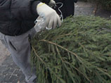 "Поздравление с ограблением": житель Кузбасса принес сестре новогоднюю елку и обворовал спавших жильцов