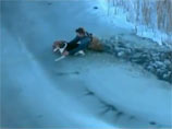 Американские спасатели вытащили из полыньи тонущую собаку, залезая по пояс в ледяную воду
