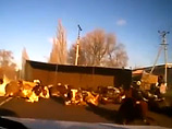 ВИДЕО о российском грузовике, просыпавшем стадо коров, добралось до Запада: многие не поверили ВИДЕО о российском грузовике, просыпавшем стадо коров, добралось до Запада: многие не поверили