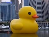 В Австралии в рамках фестиваля искусств спустили на воду гигантского желтого утенка