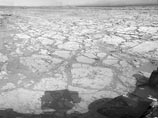 Находка сделала в области Марса Yellowknife Bay, где Curiosity снимал круговую панораму. На одном из снимков как раз и запечатлена аномалия, которую вскоре назвали "цветком" Находка сделала в области Марса Yellowknife Bay, где Curiosity снимал круговую панораму. На одном из снимков как раз и запечатлена аномалия, которую вскоре назвали "цветком"
