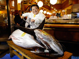 В этот раз покупателем чудо-рыбы стала сеть ресторанов Kiyomura, и владелец компании увлеченно позировал с тунцом