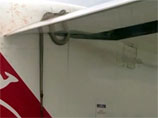 Трехметровый австралийский питон погиб после полета на крыле пассажирского авиалайнера (ВИДЕО)
