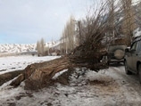 На юге Киргизии в пяти селах Баткенской области, приграничной к узбекскому анклаву Сох, ввели режим чрезвычайной ситуации на время, пока будет строиться дорога в объезд анклава