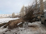 На юге Киргизии в пяти селах Баткенской области, приграничной к узбекскому анклаву Сох, ввели режим чрезвычайной ситуации на время, пока будет строиться дорога в объезд анклава На юге Киргизии в пяти селах Баткенской области, приграничной к узбекскому анклаву Сох, ввели режим чрезвычайной ситуации на время, пока будет строиться дорога в объезд анклава