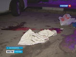 В Московской области раскрыто дерзкое двойное убийство, совершенное на выходе из магазина на глазах у прохожих месяц назад