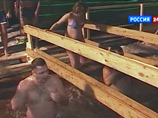 В Москве Крещение праздновали 165 тыс. человек, половина - искупались в прорубях В Москве Крещение праздновали 165 тыс. человек, половина - искупались в прорубях