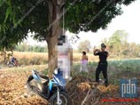 В Таиланде найден повешенным российский турист - по данным полиции, сын крупного бизнесмена